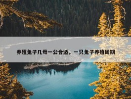 养殖兔子几母一公合适，一只兔子养殖周期