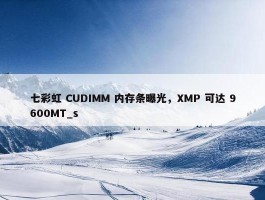 七彩虹 CUDIMM 内存条曝光，XMP 可达 9600MT_s