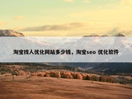 淘宝找人优化网站多少钱，淘宝seo 优化软件