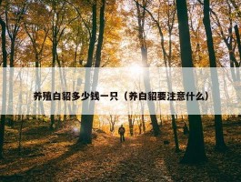 养殖白貂多少钱一只（养白貂要注意什么）