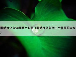 网站优化包含哪两个方面（网站优化包括三个层面的含义）