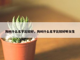 狗叫什么名字比较好，狗叫什么名字比较好听女生