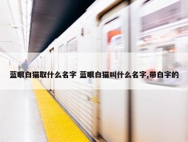 蓝眼白猫取什么名字 蓝眼白猫叫什么名字,带白字的