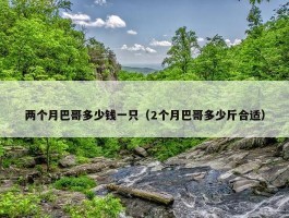 两个月巴哥多少钱一只（2个月巴哥多少斤合适）