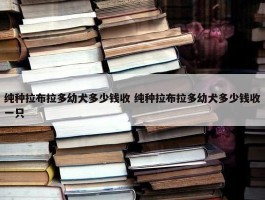 纯种拉布拉多幼犬多少钱收 纯种拉布拉多幼犬多少钱收一只