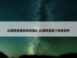 红鹦鹉变黑后如何变红 红鹦鹉变黑了啥意思啊