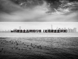 wifi硬盘盒品牌排行榜（无线硬盘盒评测）