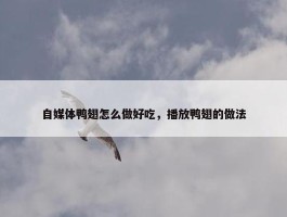 自媒体鸭翅怎么做好吃，播放鸭翅的做法