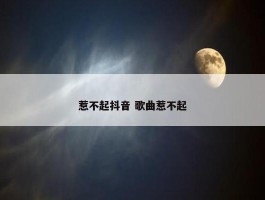 惹不起抖音 歌曲惹不起