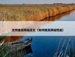 怎样提高网站优化（如何提高网站性能）