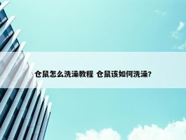 仓鼠怎么洗澡教程 仓鼠该如何洗澡?