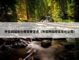 外贸网站优化哪家便宜点（外贸网站排名优化公司）