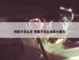 狗虱子怎么去 狗虱子怎么去除小偏方