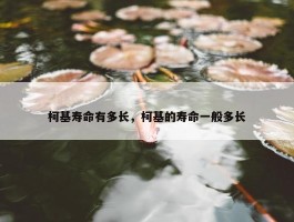 柯基寿命有多长，柯基的寿命一般多长