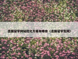 出国留学网站优化方案有哪些（出国留学生网）