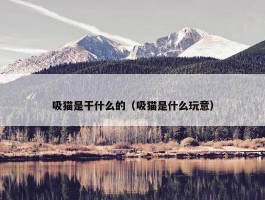 吸猫是干什么的（吸猫是什么玩意）