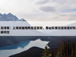 足球报：上海双雄残阵出征亚冠，泰山队情况逐渐变好伤病可控