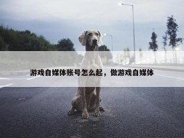 游戏自媒体账号怎么起，做游戏自媒体