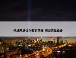 桐城网站优化哪家正规 桐城网站设计