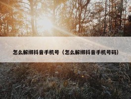 怎么解绑抖音手机号（怎么解绑抖音手机号码）