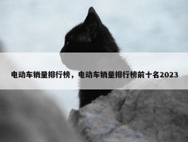 电动车销量排行榜，电动车销量排行榜前十名2023