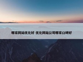 哪家网站优化好 优化网站公司哪家口碑好