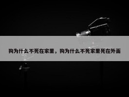 狗为什么不死在家里，狗为什么不死家里死在外面