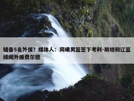 储备5名外援？媒体人：同曦男篮签下考利-斯坦和辽篮绯闻外援费尔德