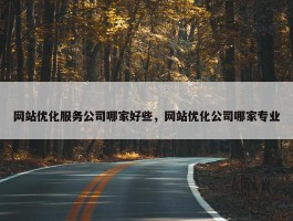 网站优化服务公司哪家好些，网站优化公司哪家专业