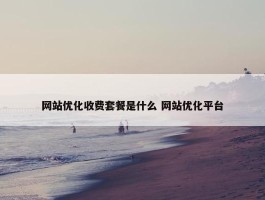 网站优化收费套餐是什么 网站优化平台