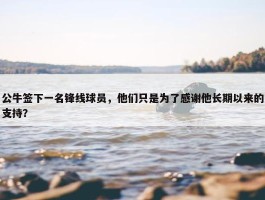 公牛签下一名锋线球员，他们只是为了感谢他长期以来的支持？