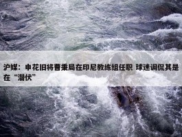 沪媒：申花旧将曹秉局在印尼教练组任职 球迷调侃其是在“潜伏”