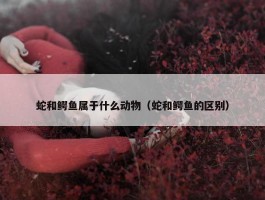 蛇和鳄鱼属于什么动物（蛇和鳄鱼的区别）