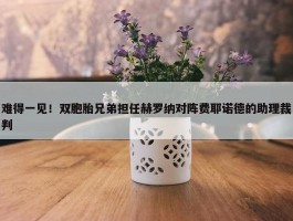 难得一见！双胞胎兄弟担任赫罗纳对阵费耶诺德的助理裁判