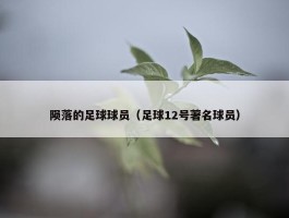 陨落的足球球员（足球12号著名球员）