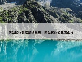 网站优化到底是啥意思，网站优化效果怎么样