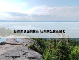 沈阳网站如何优化 沈阳网站优化排名