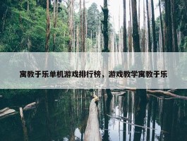 寓教于乐单机游戏排行榜，游戏教学寓教于乐