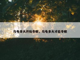 乌龟多大开始冬眠，乌龟多大才能冬眠