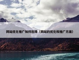 网站优化推广如何选择（网站的优化和推广方案）