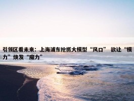 引领区看未来：上海浦东抢抓大模型“风口” 欲让“模力”焕发“魔力”