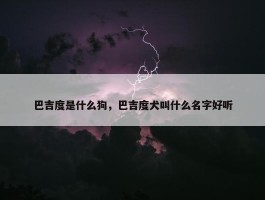 巴吉度是什么狗，巴吉度犬叫什么名字好听