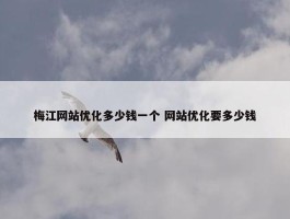 梅江网站优化多少钱一个 网站优化要多少钱