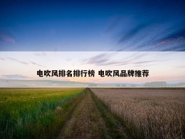 电吹风排名排行榜 电吹风品牌推荐