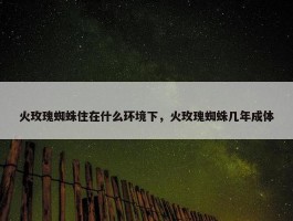 火玫瑰蜘蛛住在什么环境下，火玫瑰蜘蛛几年成体