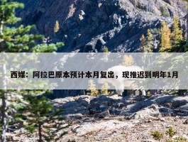 西媒：阿拉巴原本预计本月复出，现推迟到明年1月