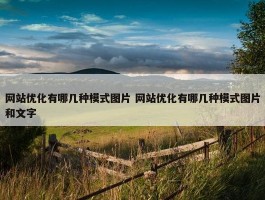 网站优化有哪几种模式图片 网站优化有哪几种模式图片和文字