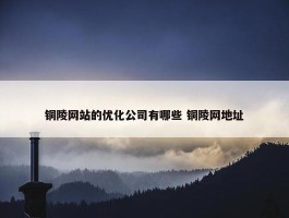 铜陵网站的优化公司有哪些 铜陵网地址