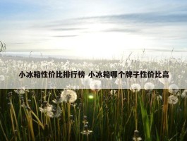 小冰箱性价比排行榜 小冰箱哪个牌子性价比高