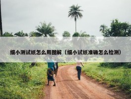 细小测试纸怎么用图解（细小试纸准确怎么检测）